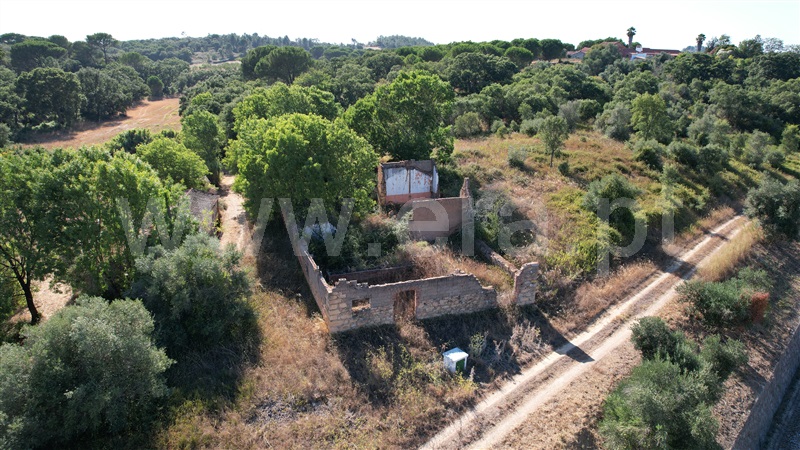 Terreno com ruina  com Agrícola Tomar, Asseiceira - 1349963 - 2