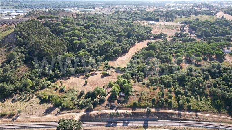 Terreno com ruina  com Agrícola Tomar, Asseiceira - 1349963 - 3