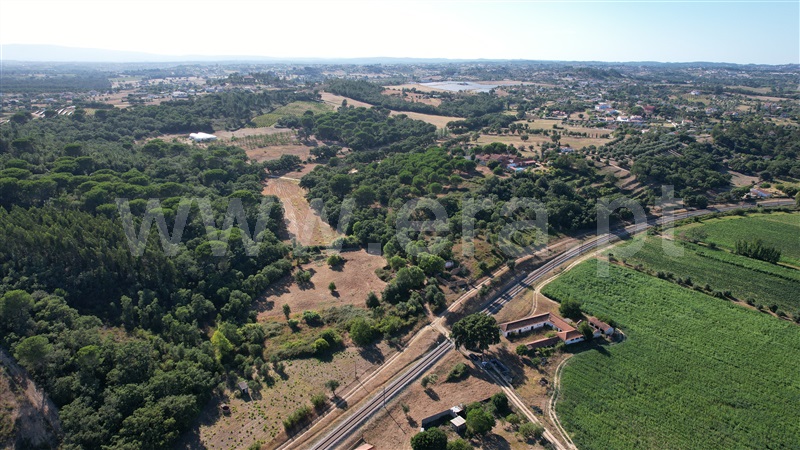 Terreno com ruina  com Agrícola Tomar, Asseiceira - 1349963 - 4