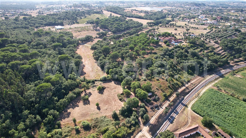 Terreno com ruina  com Agrícola Tomar, Asseiceira - 1349963 - 6