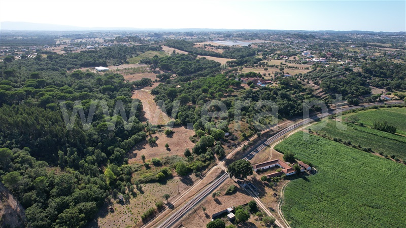 Terreno com ruina  com Agrícola Tomar, Asseiceira - 1349963 - 7