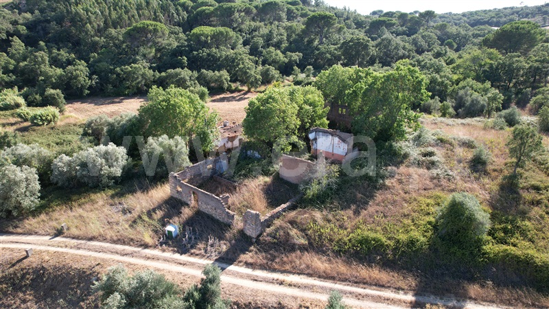 Terreno com ruina  com Agrícola Tomar, Asseiceira - 1349963 - 8