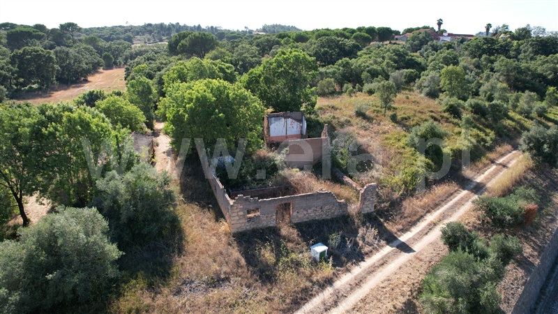 Terreno com ruina  com Agrícola Tomar, Asseiceira - 1349963 - 10
