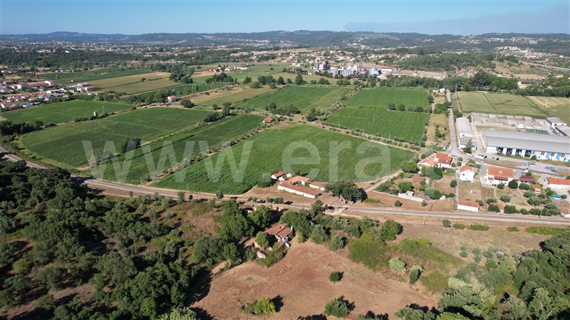 Terreno com ruina  com Agrícola Tomar, Asseiceira - 1349963 - 11