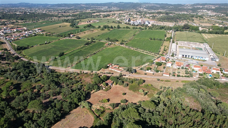Terreno com ruina  com Agrícola Tomar, Asseiceira - 1349963 - 12