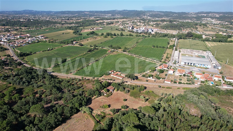 Terreno com ruina  com Agrícola Tomar, Asseiceira - 1349963 - 15