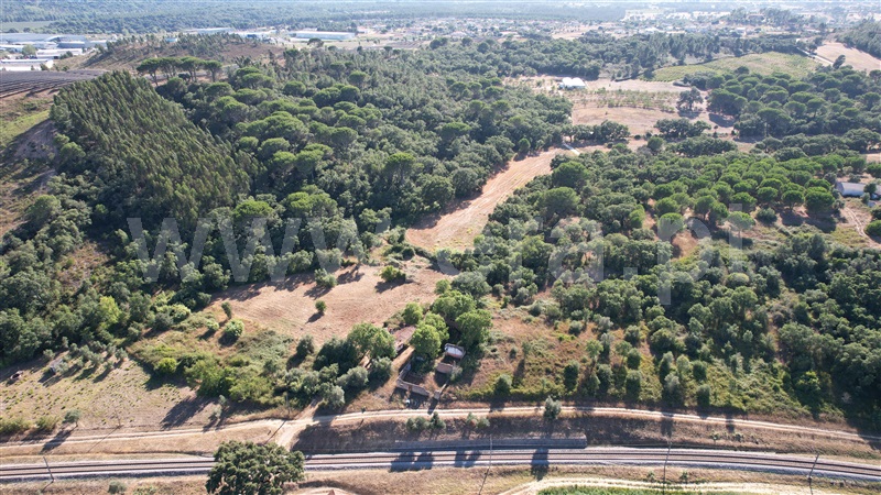 Terreno com ruina  com Agrícola Tomar, Asseiceira - 1349963 - 20