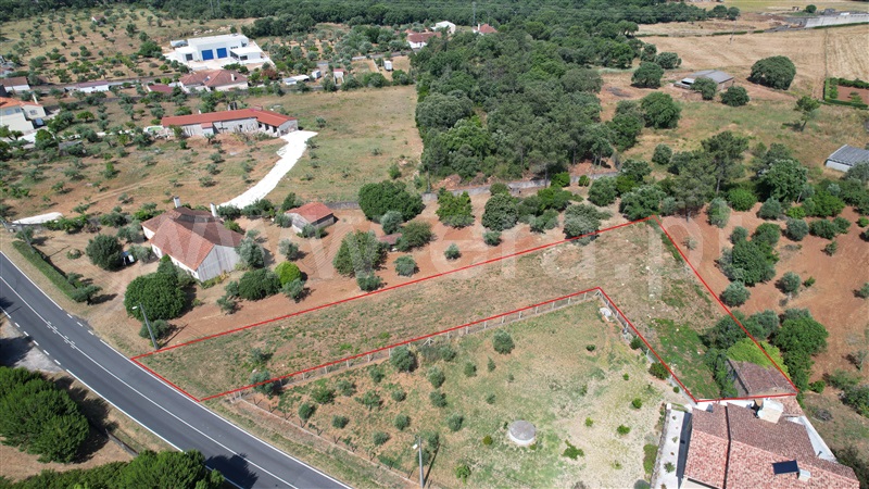 Terreno com ruina / Tomar, Casais e Alviobeira