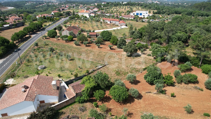 Terreno com ruina  Tomar, Casais e Alviobeira - 1485519 - 8