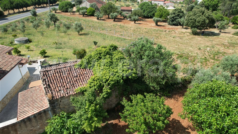 Terreno com ruina  Tomar, Casais e Alviobeira - 1485519 - 13