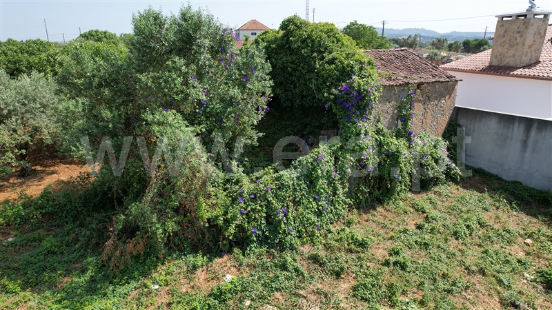 Terreno com ruina  Tomar, Casais e Alviobeira - 1485519 - 14
