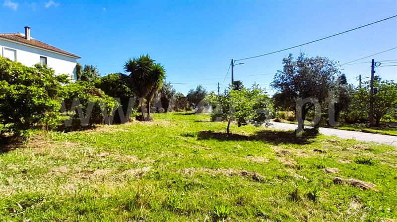 Terreno com ruina / Tomar, Olalhas