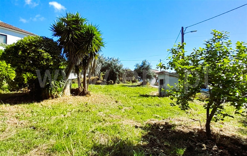 Terreno com ruina  Tomar, Olalhas - 1401881 - 6