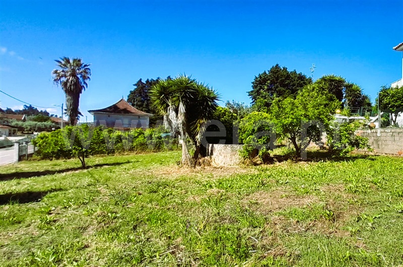 Terreno com ruina  Tomar, Olalhas - 1401881 - 7
