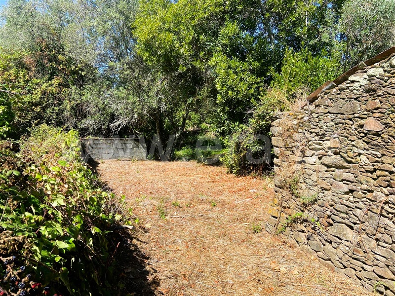Terreno com ruina  Tomar, Serra e Junceira - 1493534 - 5