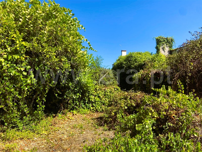 Terreno com ruina  Tomar, Serra e Junceira - 1493534 - 6