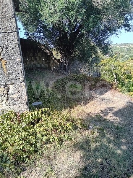 Terreno Misto  Torres Novas, Brogueira, Parceiros de Igreja e Alcorochel - 1429149 - 1