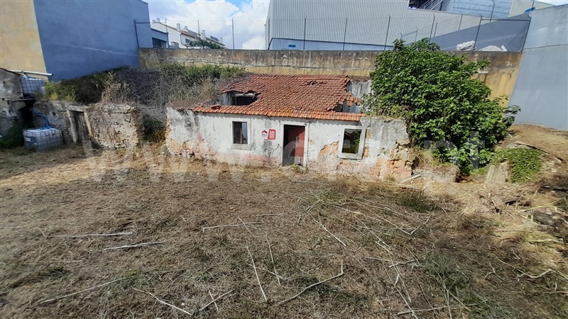 Terreno com ruina  Torres Novas, Torres Novas (Santa Maria, Salvador e Santiago) - 1039790 - 4