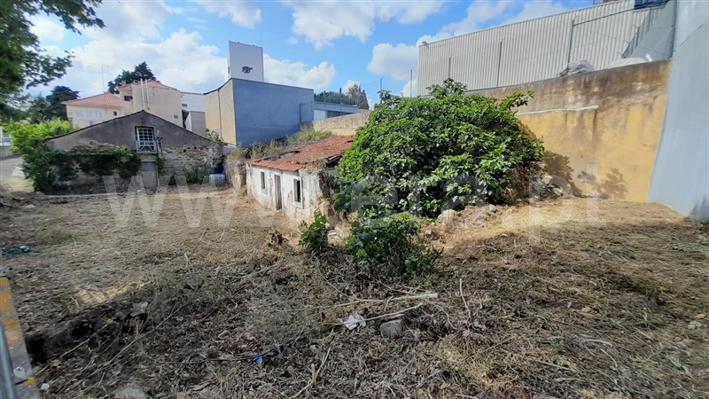 Terreno com ruina  Torres Novas, Torres Novas (Santa Maria, Salvador e Santiago) - 1039790 - 5