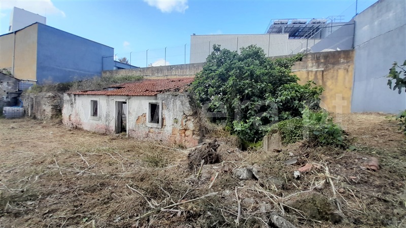 Terreno com ruina  Torres Novas, Torres Novas (Santa Maria, Salvador e Santiago) - 1039790 - 8