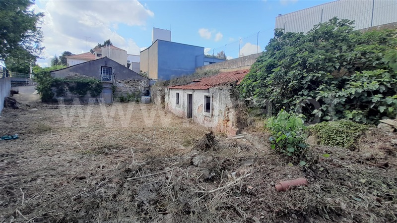 Terreno com ruina  Torres Novas, Torres Novas (Santa Maria, Salvador e Santiago) - 1039790 - 11
