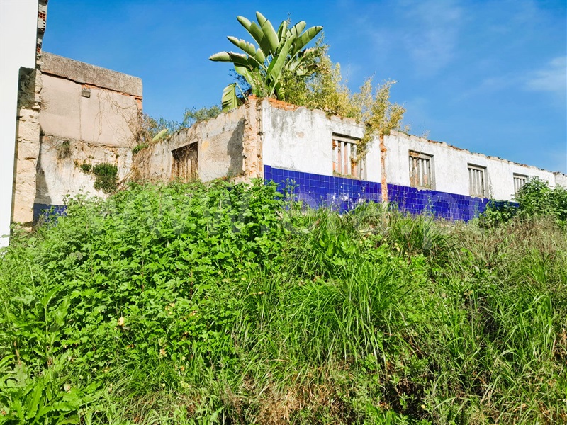 Terreno com ruina / Torres Novas, Torres Novas (São Pedro), Lapas e Ribeira Branca