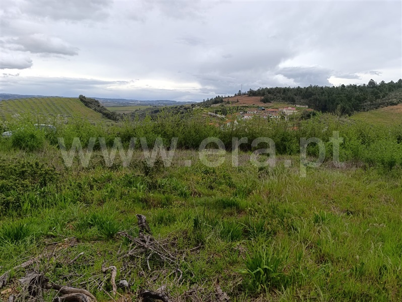 Terreno com ruina  Valpaços, Água Revés e Crasto - 1472512 - 7