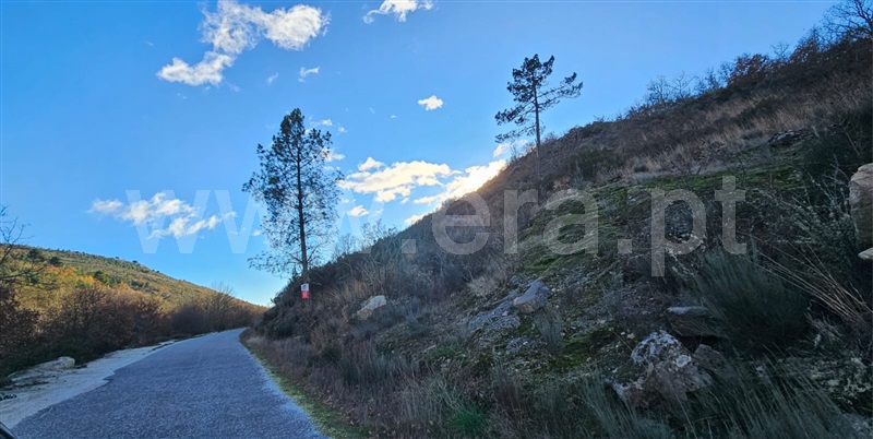 Terreno com ruina / Valpaços, Tinhela e Alvarelhos