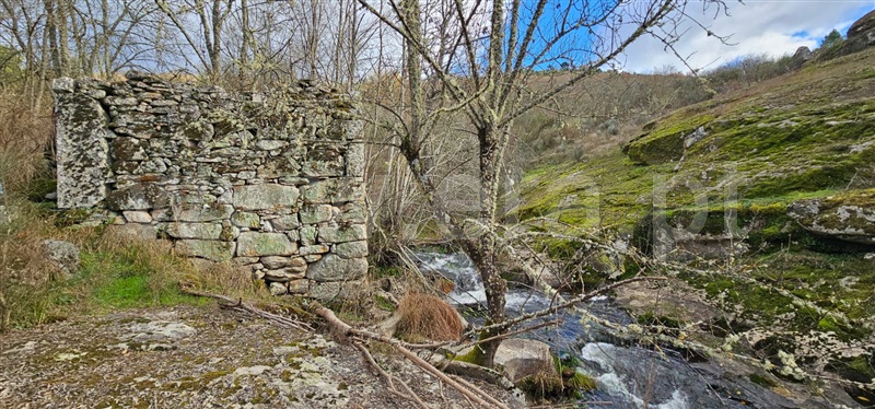 Terreno com ruina  Valpaços, Tinhela e Alvarelhos - 1449939 - 4
