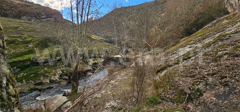 Terreno com ruina  Valpaços, Tinhela e Alvarelhos - 1449939 - 6