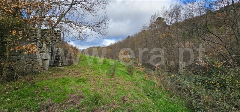 Terreno com ruina  Valpaços, Tinhela e Alvarelhos - 1449939 - 11