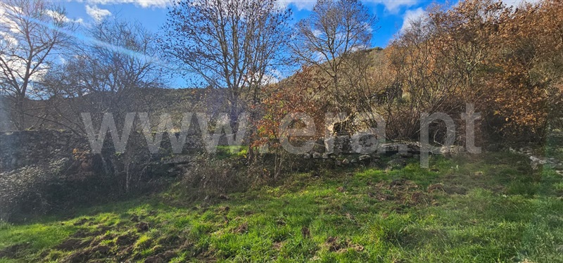 Terreno com ruina  Valpaços, Tinhela e Alvarelhos - 1449939 - 14