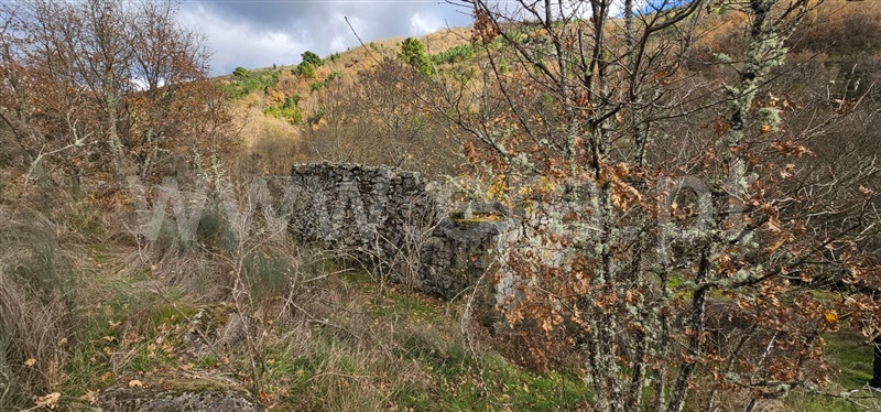 Terreno com ruina  Valpaços, Tinhela e Alvarelhos - 1449939 - 20