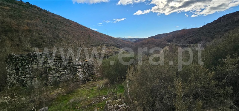 Terreno com ruina  Valpaços, Tinhela e Alvarelhos - 1449939 - 23
