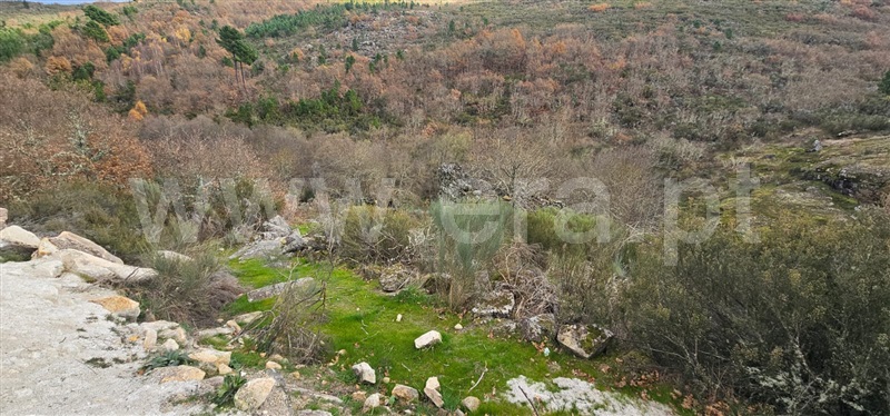 Terreno com ruina  Valpaços, Tinhela e Alvarelhos - 1449939 - 24