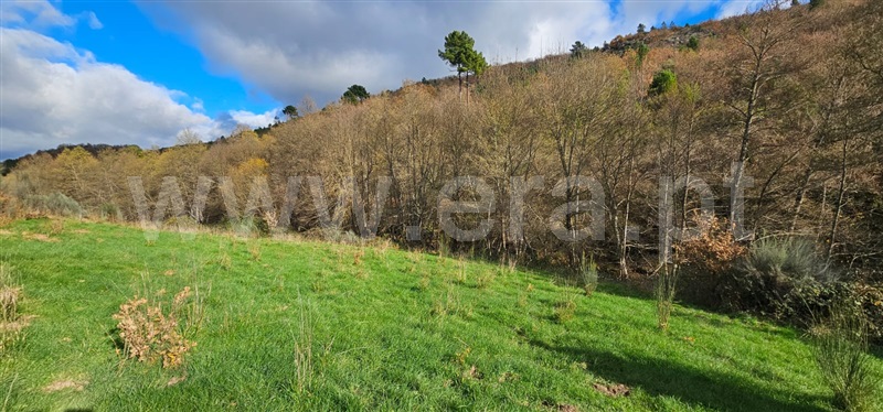 Terreno com ruina  Valpaços, Tinhela e Alvarelhos - 1449939 - 25