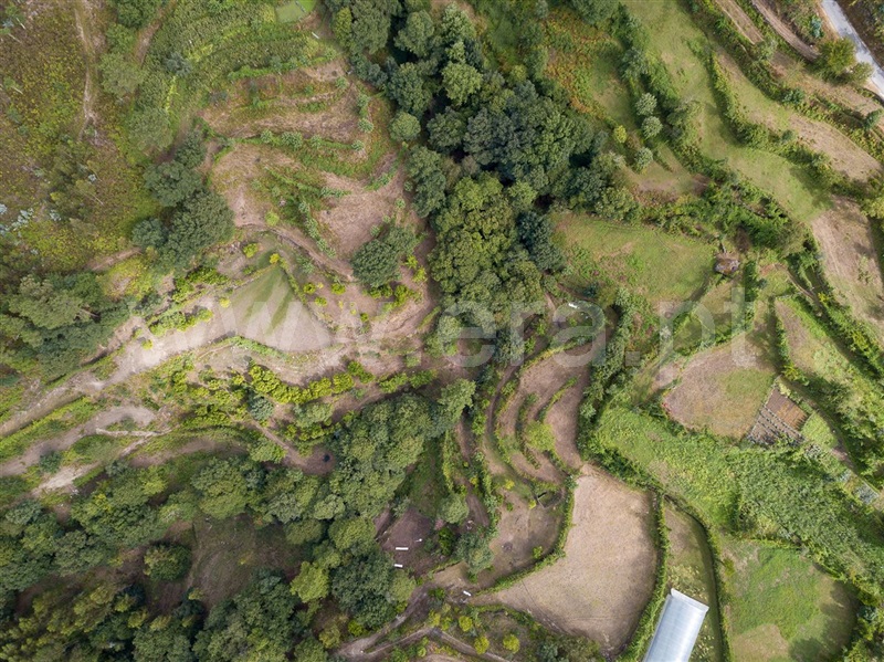 Terreno com ruina  Vieira do Minho, Gerês - 66850 - 31