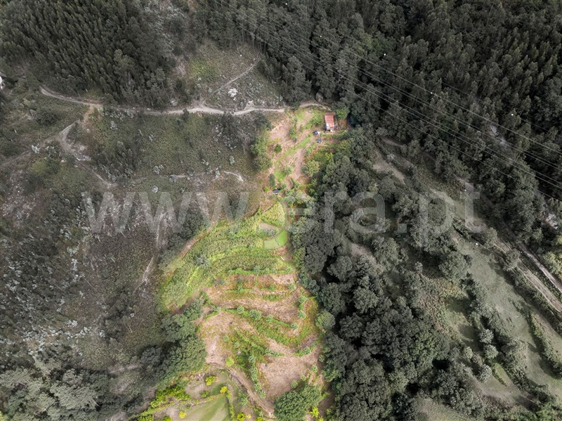 Terreno com ruina / Vieira do Minho, Gerês