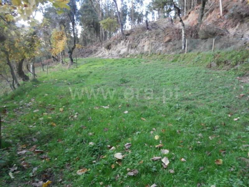 Terreno com ruina  Vieira do Minho, Gerês - 66850 - 10