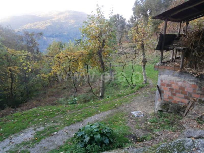 Terreno com ruina  Vieira do Minho, Gerês - 66850 - 13