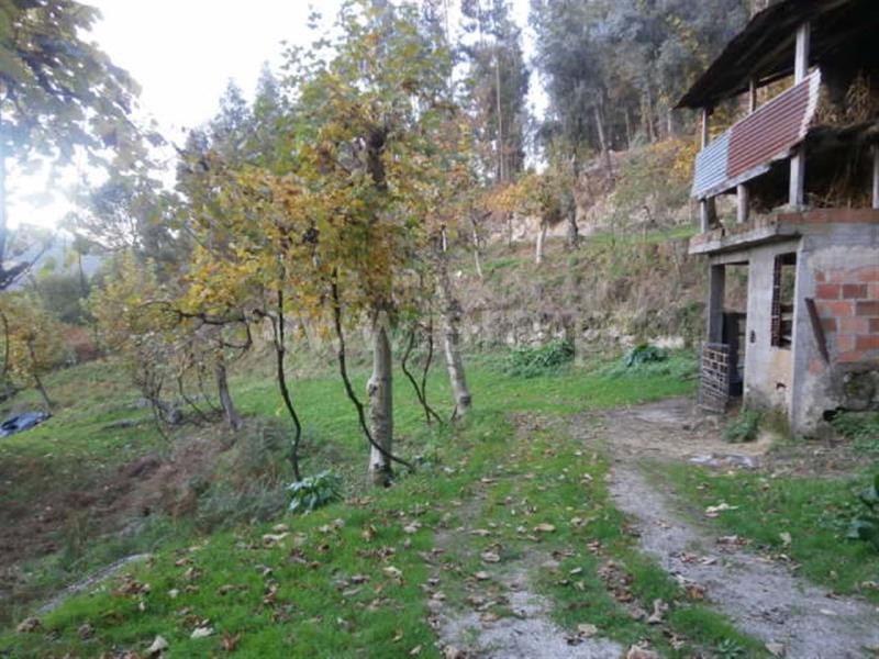 Terreno com ruina  Vieira do Minho, Gerês - 66850 - 15