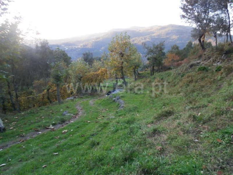 Terreno com ruina  Vieira do Minho, Gerês - 66850 - 16
