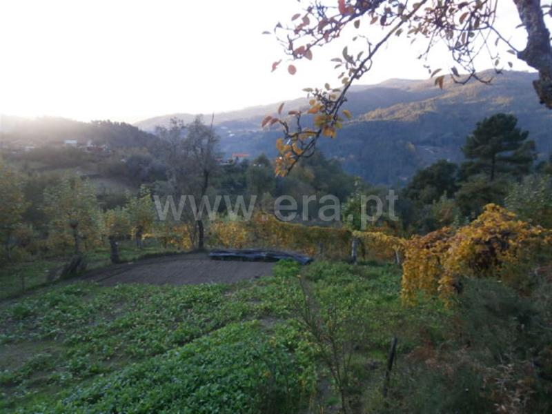 Terreno com ruina  Vieira do Minho, Gerês - 66850 - 17