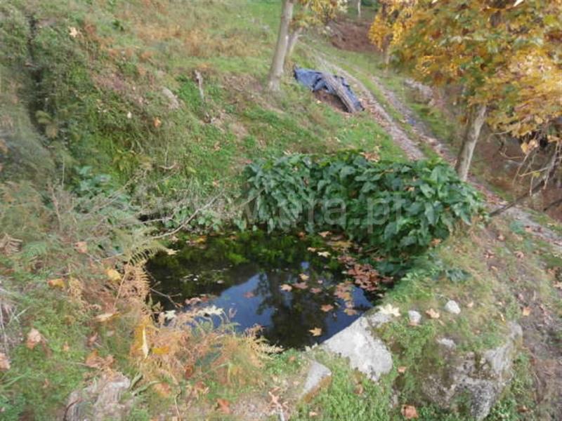 Terreno com ruina  Vieira do Minho, Gerês - 66850 - 18