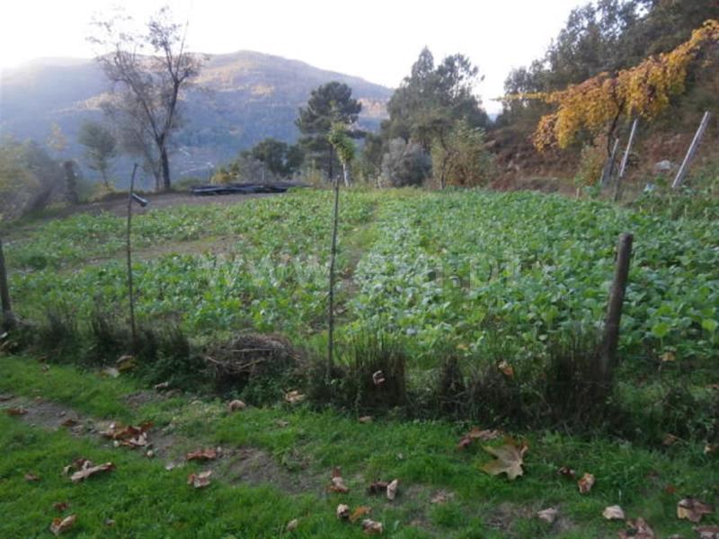 Terreno com ruina  Vieira do Minho, Gerês - 66850 - 19