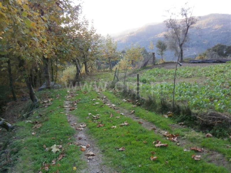 Terreno com ruina  Vieira do Minho, Gerês - 66850 - 20