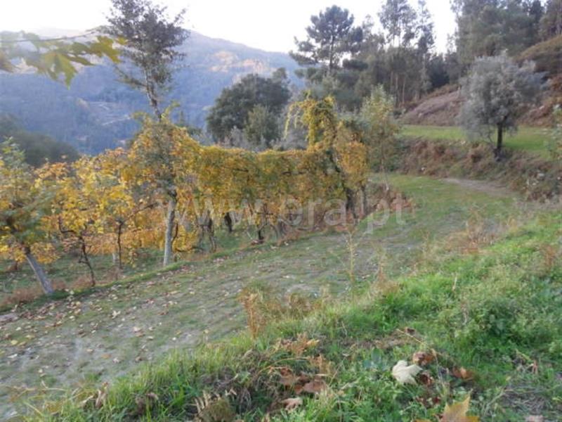 Terreno com ruina  Vieira do Minho, Gerês - 66850 - 26