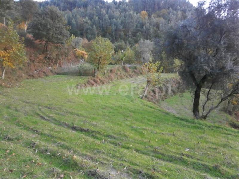 Terreno com ruina  Vieira do Minho, Gerês - 66850 - 28