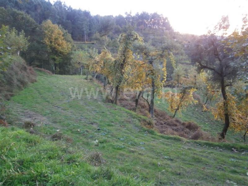 Terreno com ruina  Vieira do Minho, Gerês - 66850 - 29