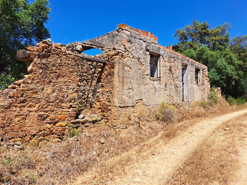 Terreno com ruina  Vila de Rei - 1327865 - 10